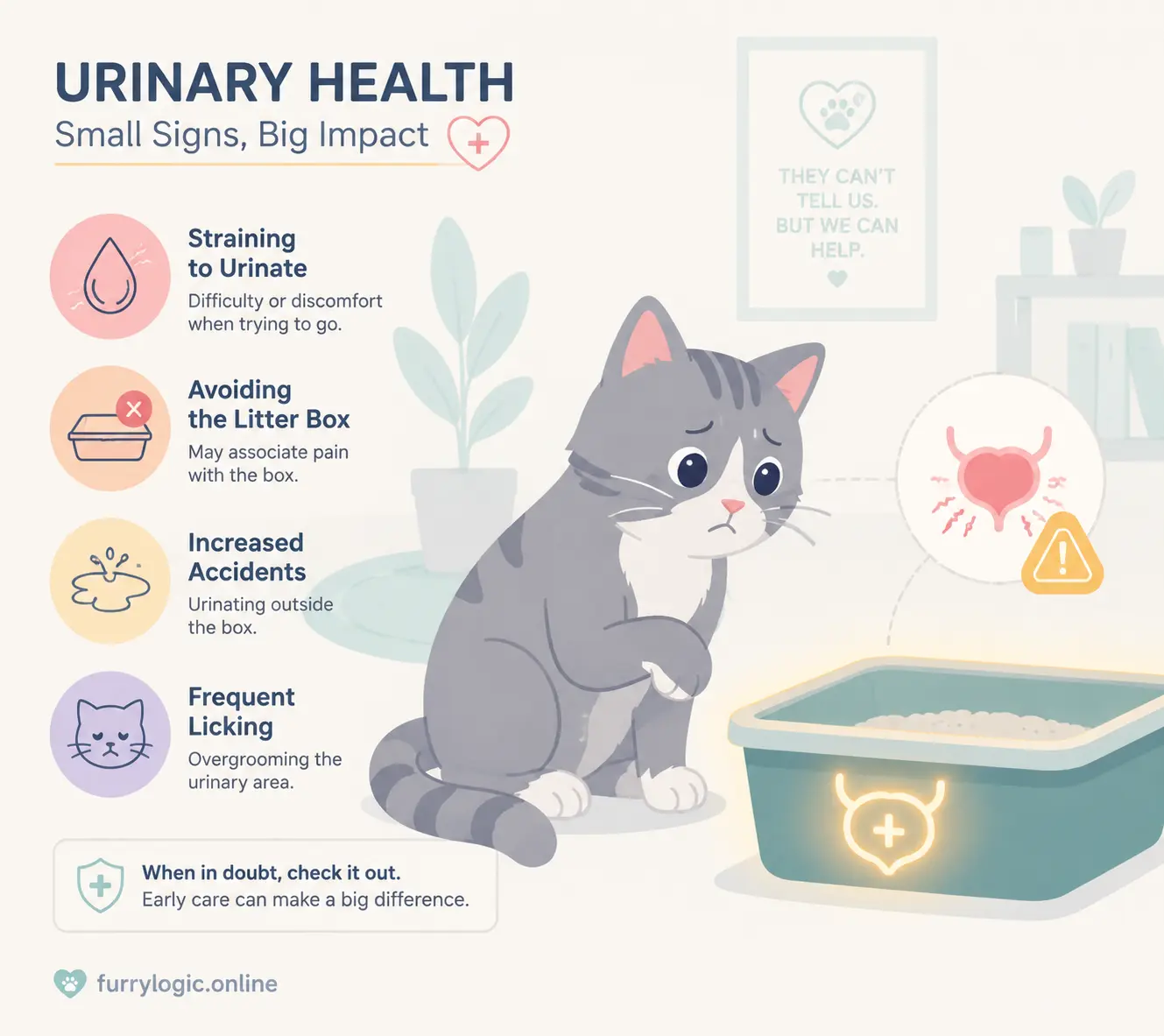 Cat showing medical concern near litter box with warning signs concept